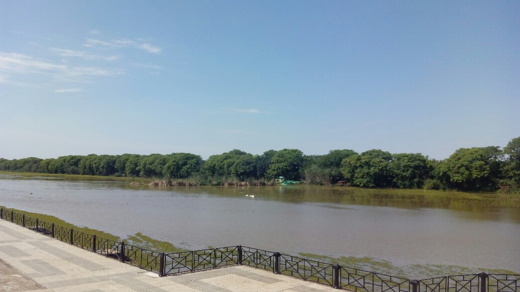 Au bord du canal, en face le parc naturel