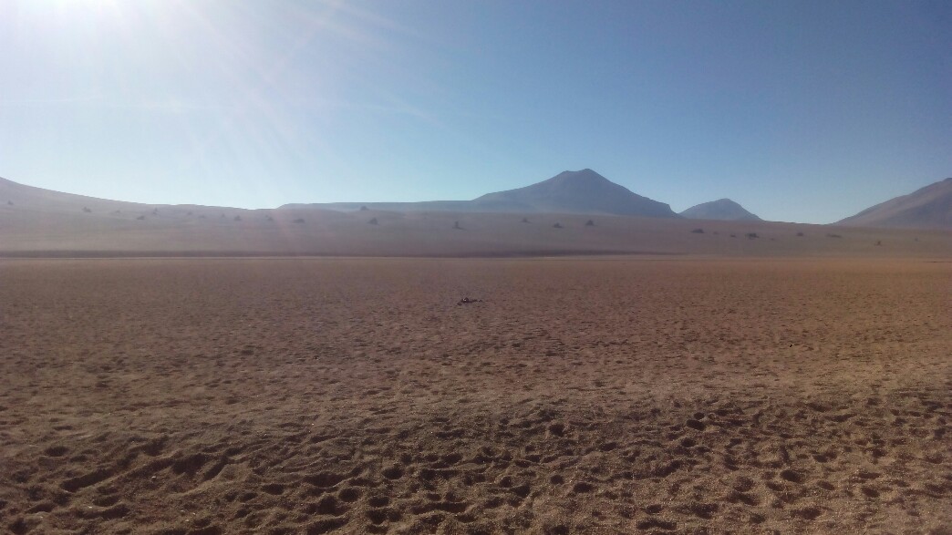 Désert Salvador Dali