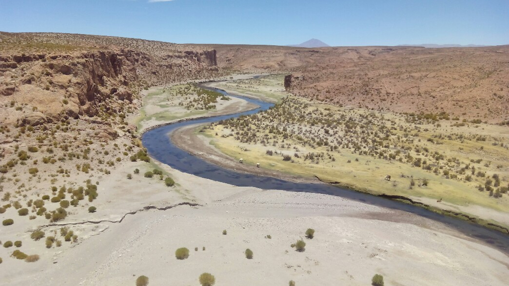Pique nique magique du dernier jour