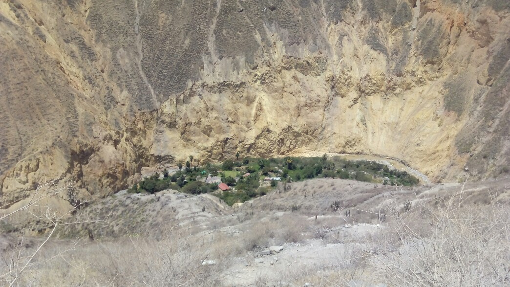 L'oasis d'un peu moins loin