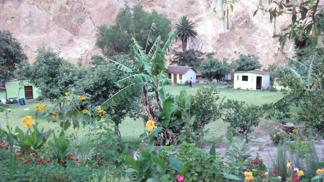 L'oasis est ses bungalows